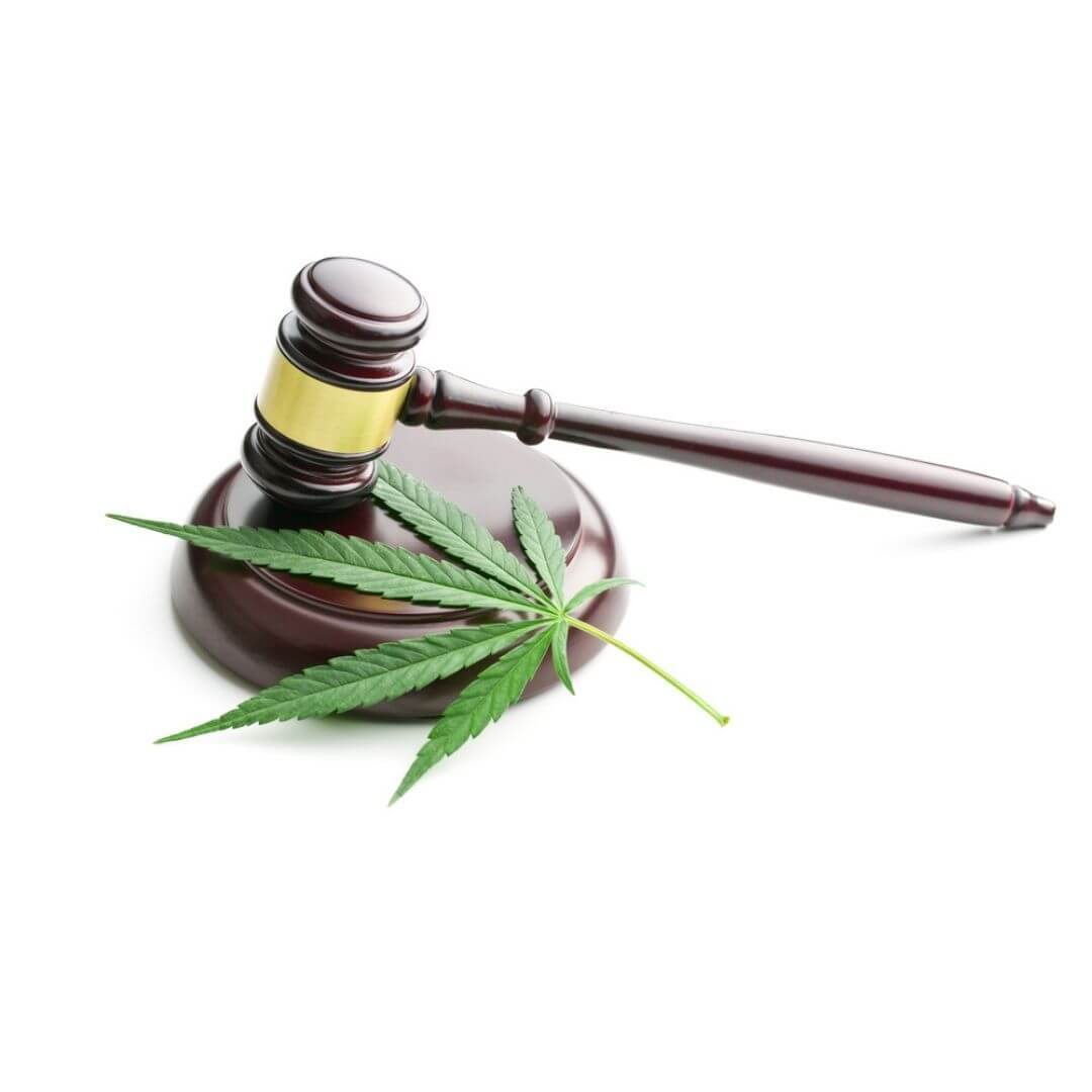 Florida Marijuana Laws In 2022 - The Denson Firm