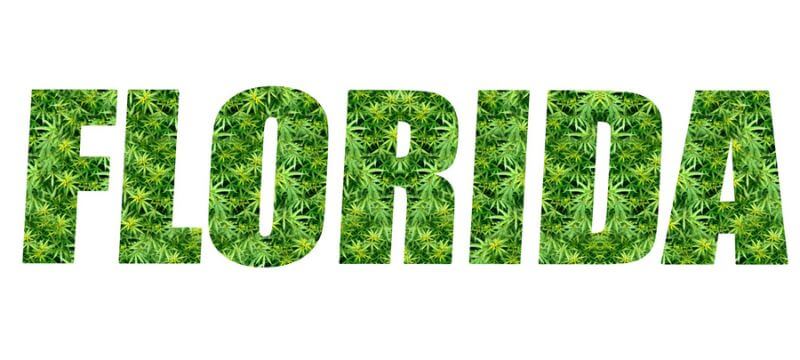 Florida letters made of weed.